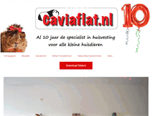 Tablet Screenshot of caviaflat.nl
